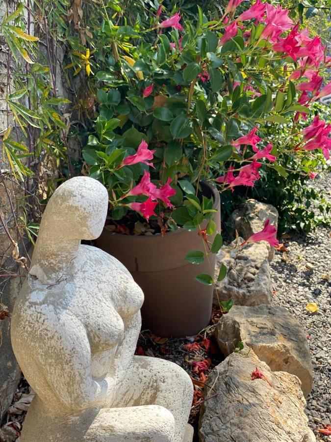 Carpe Diem Paradise Mougins Exterior foto